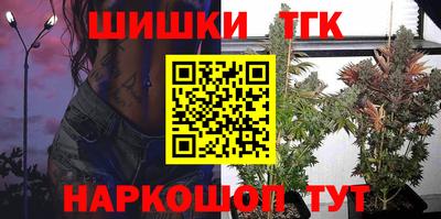 индика Рузаевка