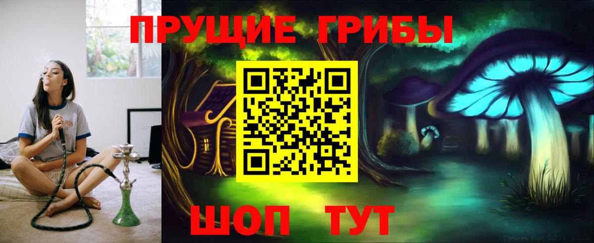 Южноуральск  Псилоцибиновые грибы Psilocybe  Вход с VPN 